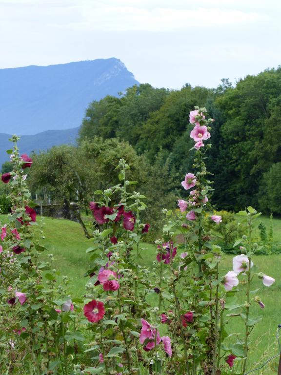 Au Coeur De La Campagne - Gite Non Loins D'Annecy- A 17 Min D'Annecy - Tout Pret D'Aix Les Bains Saint-Girod Exterior foto